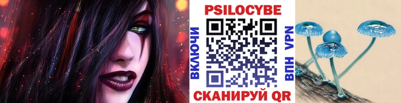 Галлюциногенные грибы мицелий  Красавино 